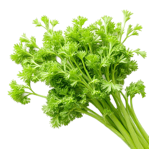 celery