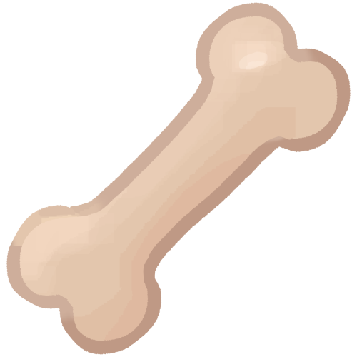 bone