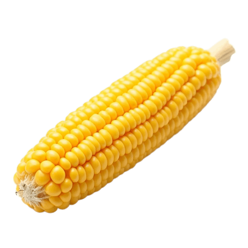 corn on the cob