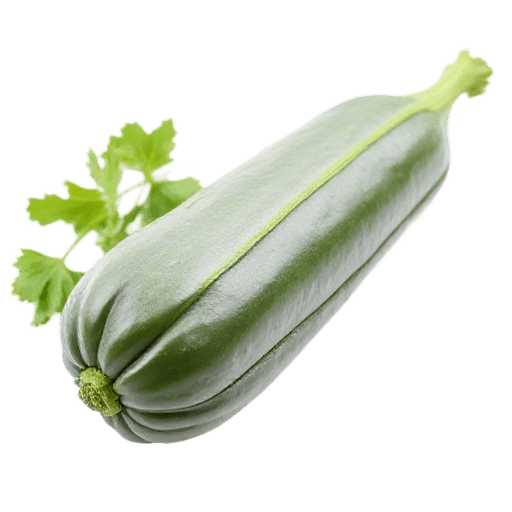 marrow
