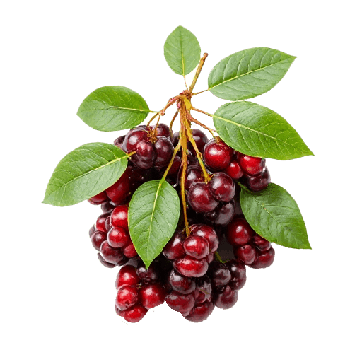 cranberries