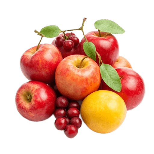 fruit