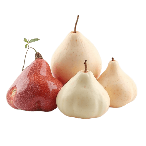 fruit