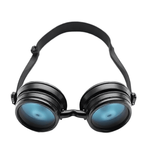 goggles
