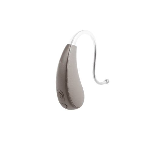 hearing aid