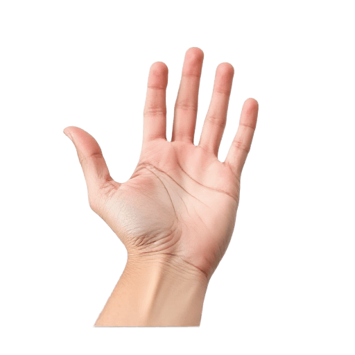 hand