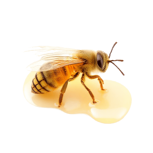 honey