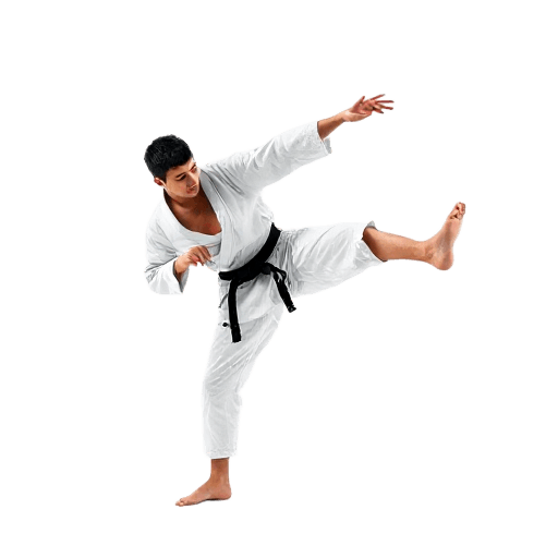 judo