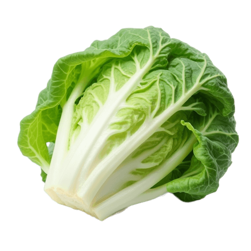 letuce