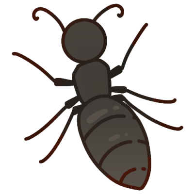 black ant