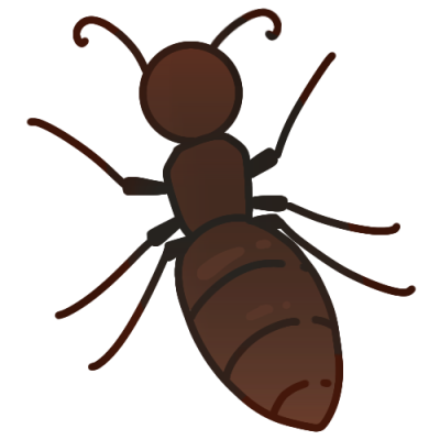 brown ant