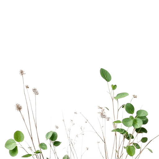 plants