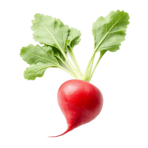 radish