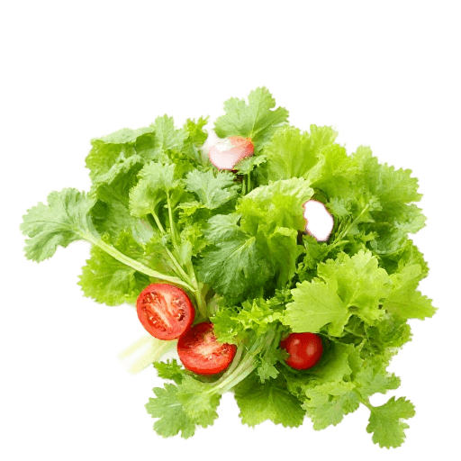 salad