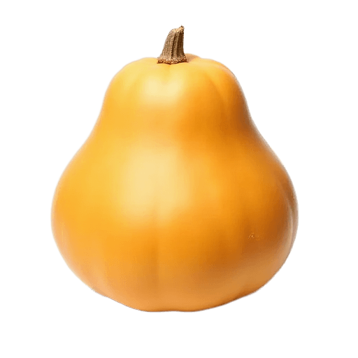 squash