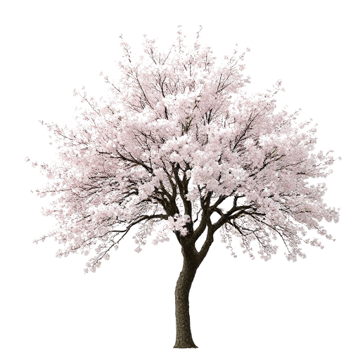 blossom