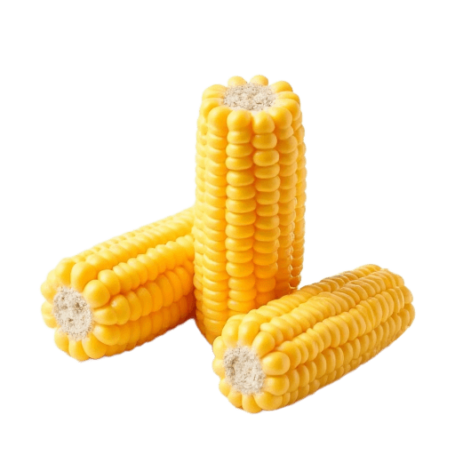 corn on the cob