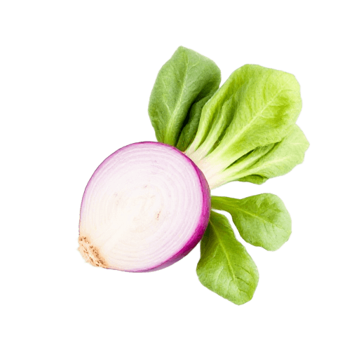 turnip