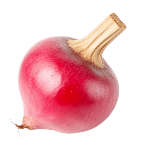 turnip