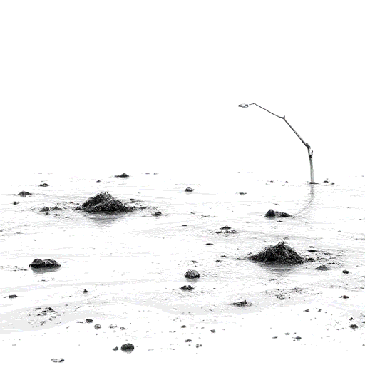 flood