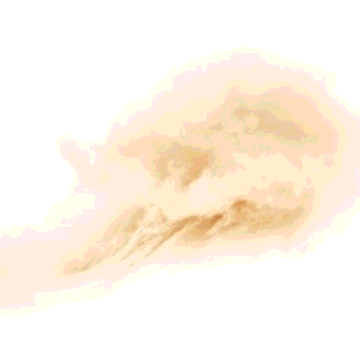 sandstorm