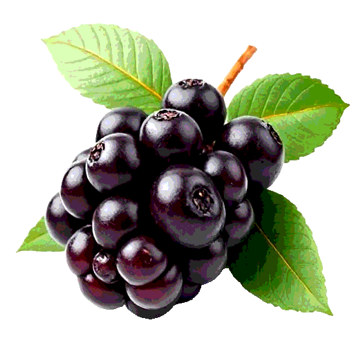acaiberry