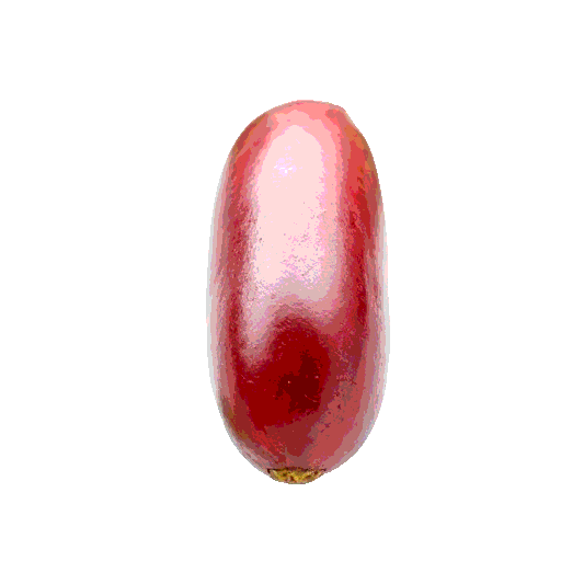 adzuki bean