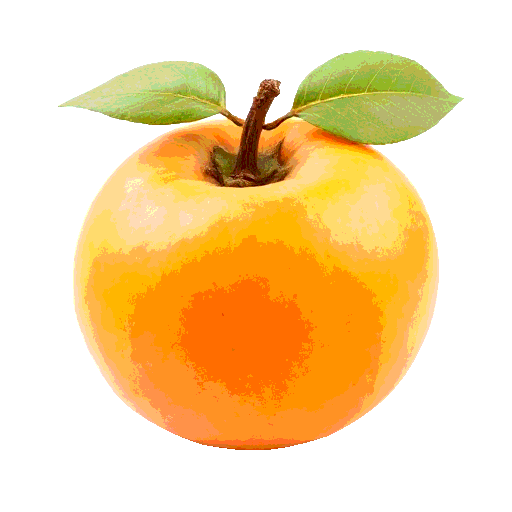 apricot