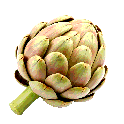 artichoke