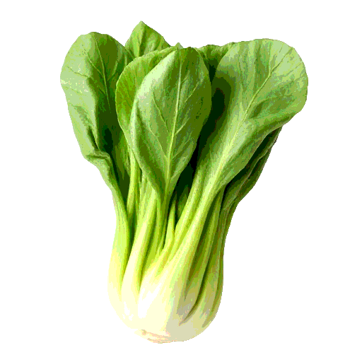 baby bok choy