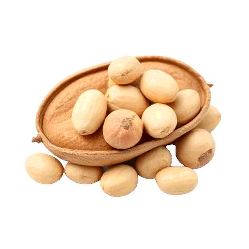bambara groundnut
