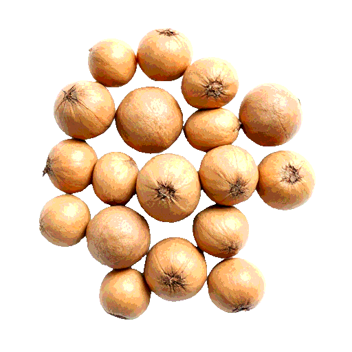 beech nuts