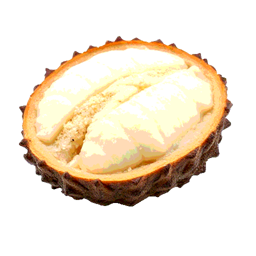 biriba