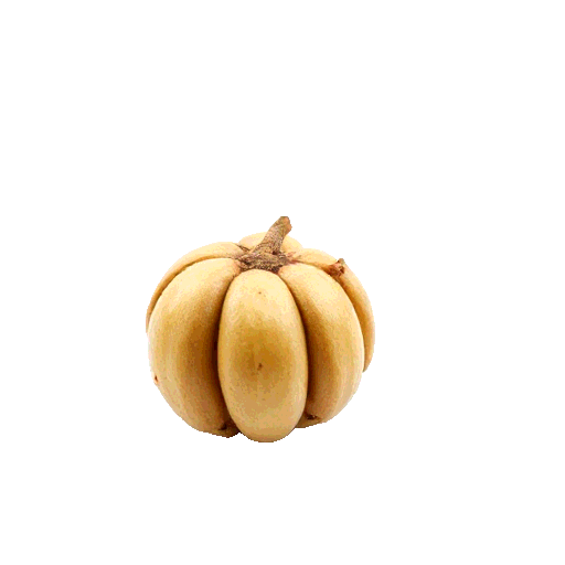 betel nut