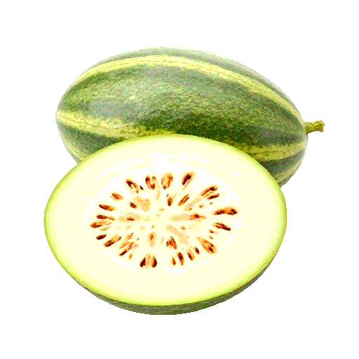bitter melon