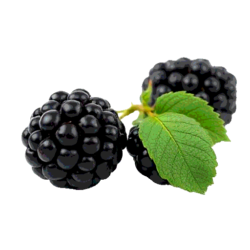 blackberry