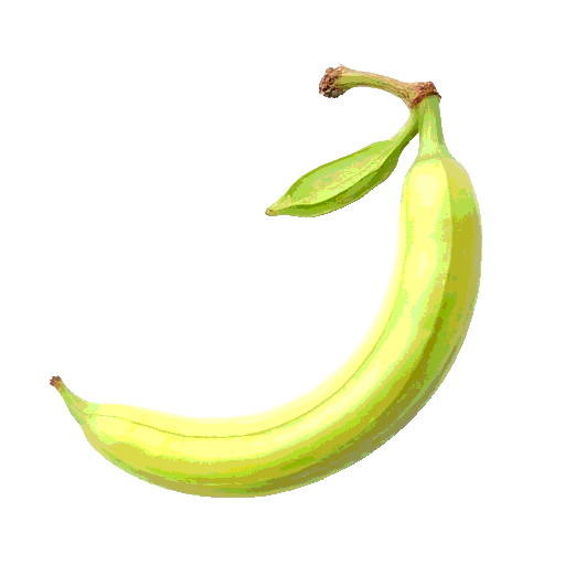 broad bean