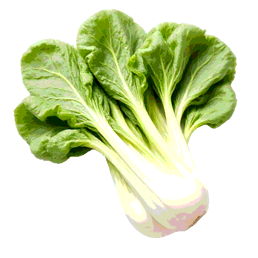 bok choy