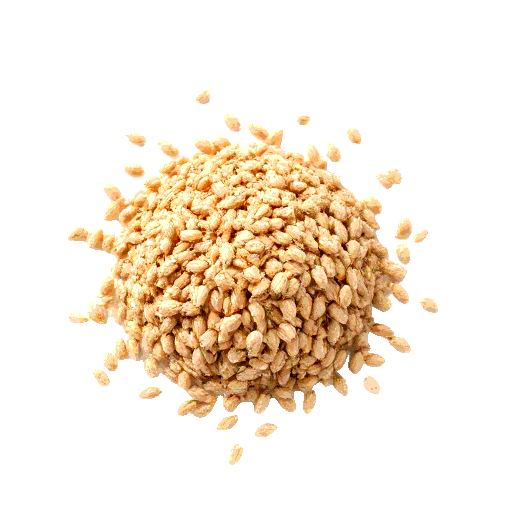 buckwheat