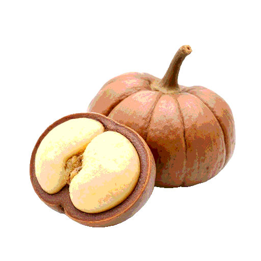 butternuts