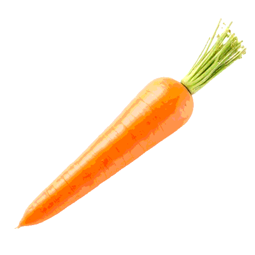 carrot