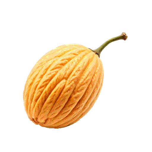 canarium almond