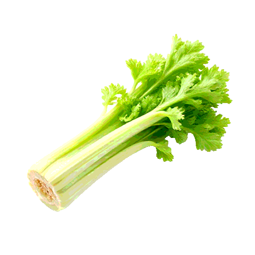 celery