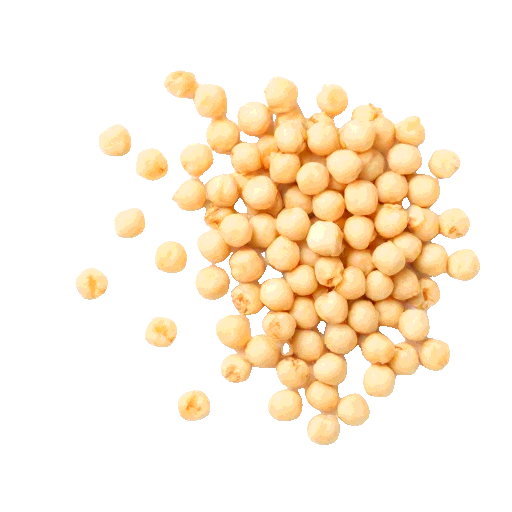 chickpea