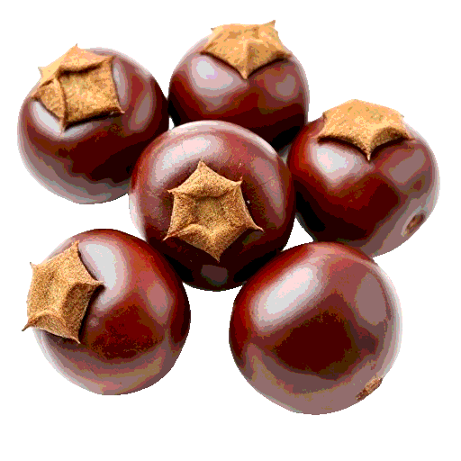 chestnuts