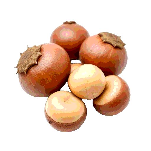 chinquapin nuts