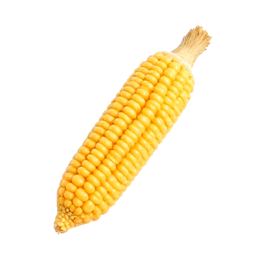 corn