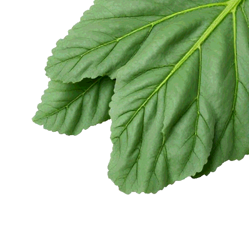 collard greens