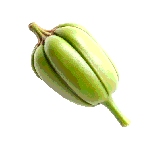 cowpea