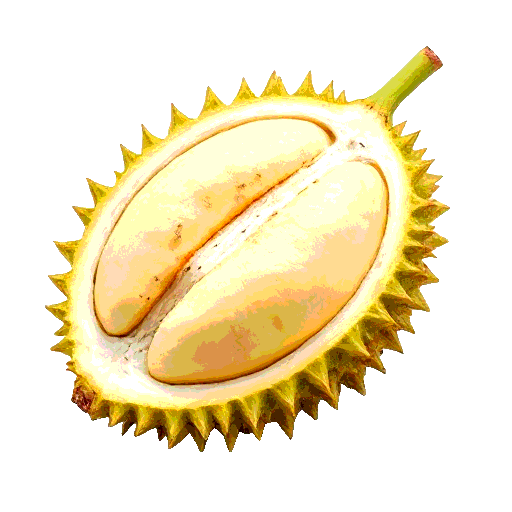 durian